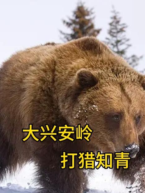 大兴安岭狩猎纪录片