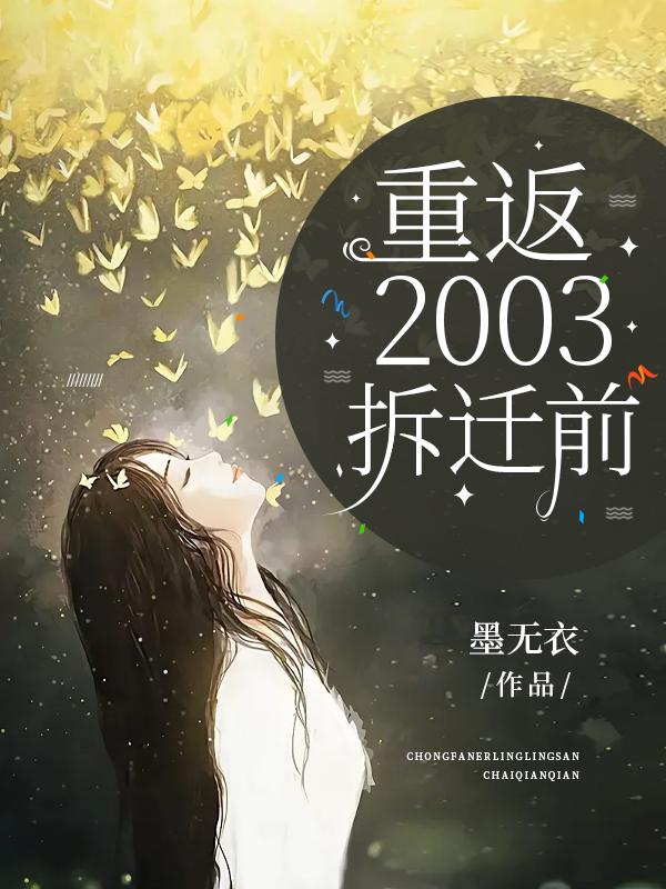 重返2003小说