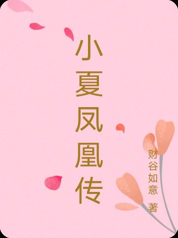 小夏电视剧