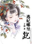 逃妃难再逑有声