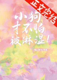 小狗怕不怕下雨